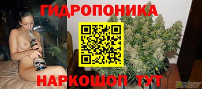 a pvp Славянск-на-Кубани