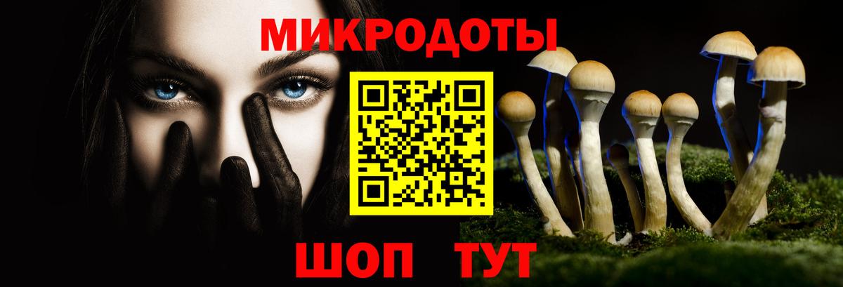 Псилоцибиновые грибы мухоморы Махачкала